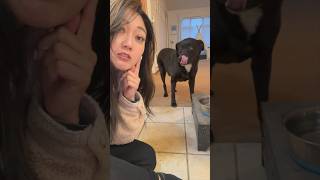 Day 11 of prepping my dog to take over the family business #handywoman #handyman #vlog #homerepair