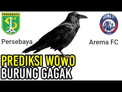 Video: Apakah kaki gagak mengubah torsi?