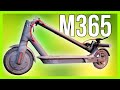 Xiaomi M365 Electric Scooter - An Honest Review