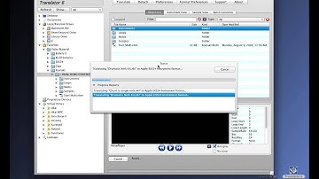Chicken Systems Translator - Bulk Translations