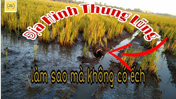 Mưu Sinh Với Nghề Đặt Lợp Ếch | Địa Điểm Mới Chạy Quá Đã || Catch frog ||| Học vlog