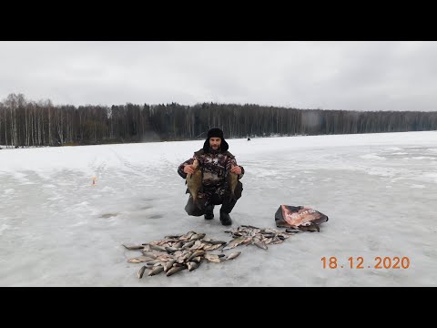 зимняя рыбалка 2020г