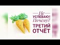 В край обнаглела и разленилась. Третий отчёт #даритепло21