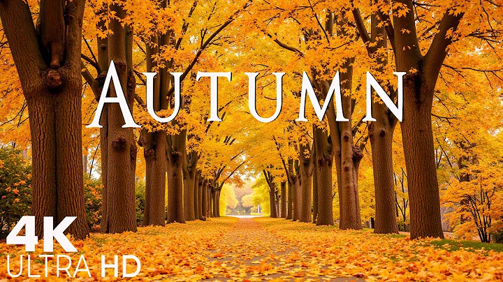 4K  Beautiful Relaxing Music 🍁 Soothing Autumn Music For Stress Relief, Deep Relaxtion, Calm Nervous