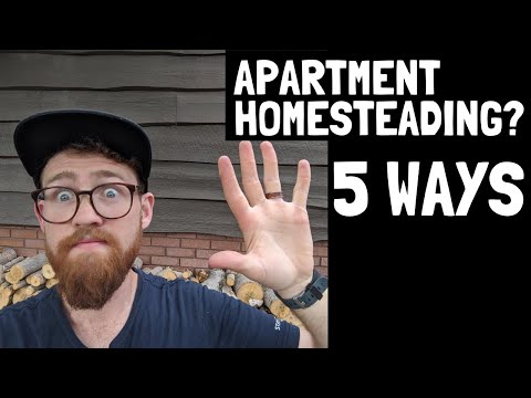 How to homestead in an APARTMENT OR TOWNHOME [5 things to start doing today!]