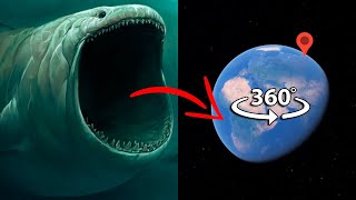 Sea Monster: Bloop in 360° VR | 8K in Real Life