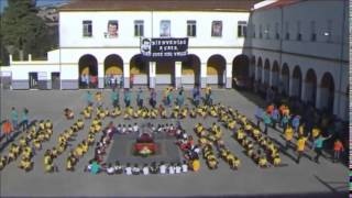 Vignette de la vidéo "Himno Bicentenario Flashmob"