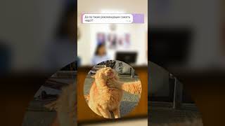 Врачи вредители 😂 P.S. Помогаем удалить несправедливые отзывы, пишите 📨
