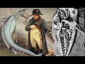 Napoleon&#39;s Stolen Mosasaurus