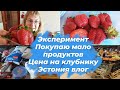 Эстония влог.Эксперимент.Покупаю мало продуктов.Получится или нет?Закупка продуктов. Обзор цены чек