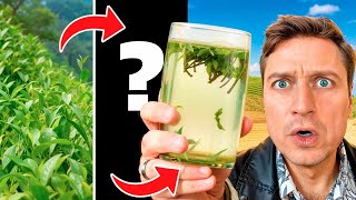 видео: Как РЕАЛЬНО делают ЗЕЛЕНЫЙ ЧАЙ в Китае в 2024? картинка: Как РЕАЛЬНО делают ЗЕЛЕНЫЙ ЧАЙ в Китае в 2024?