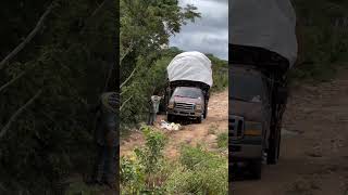 Ford f4000 carregada na estrada de terra #ford #f4000 #terra #camionete #viralvideo #emalta #br #at