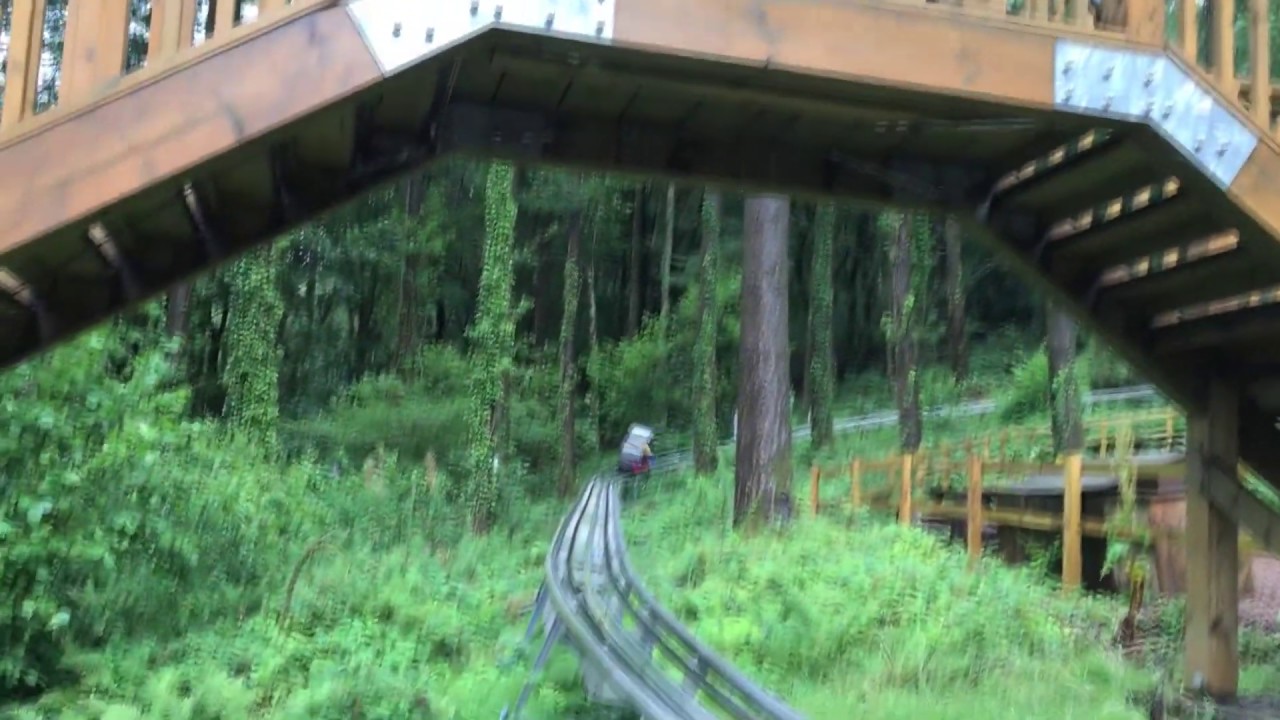 Brandon Lark IN Real Life #1 - FFOREST COASTER