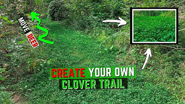 How To Make A Clover Food Plot Trail