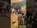 Bester nail hammering social experiment: best hammering guy ever seen on nails