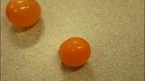 Balloon in liquid nitrogen