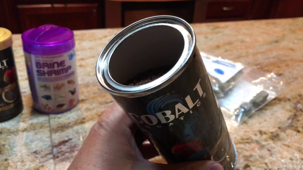 What do Discus fish eat? How to grow out your Discus Fish! Beef Heart