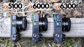 A5100 vs A6000 vs A6300: A Practical Comparison