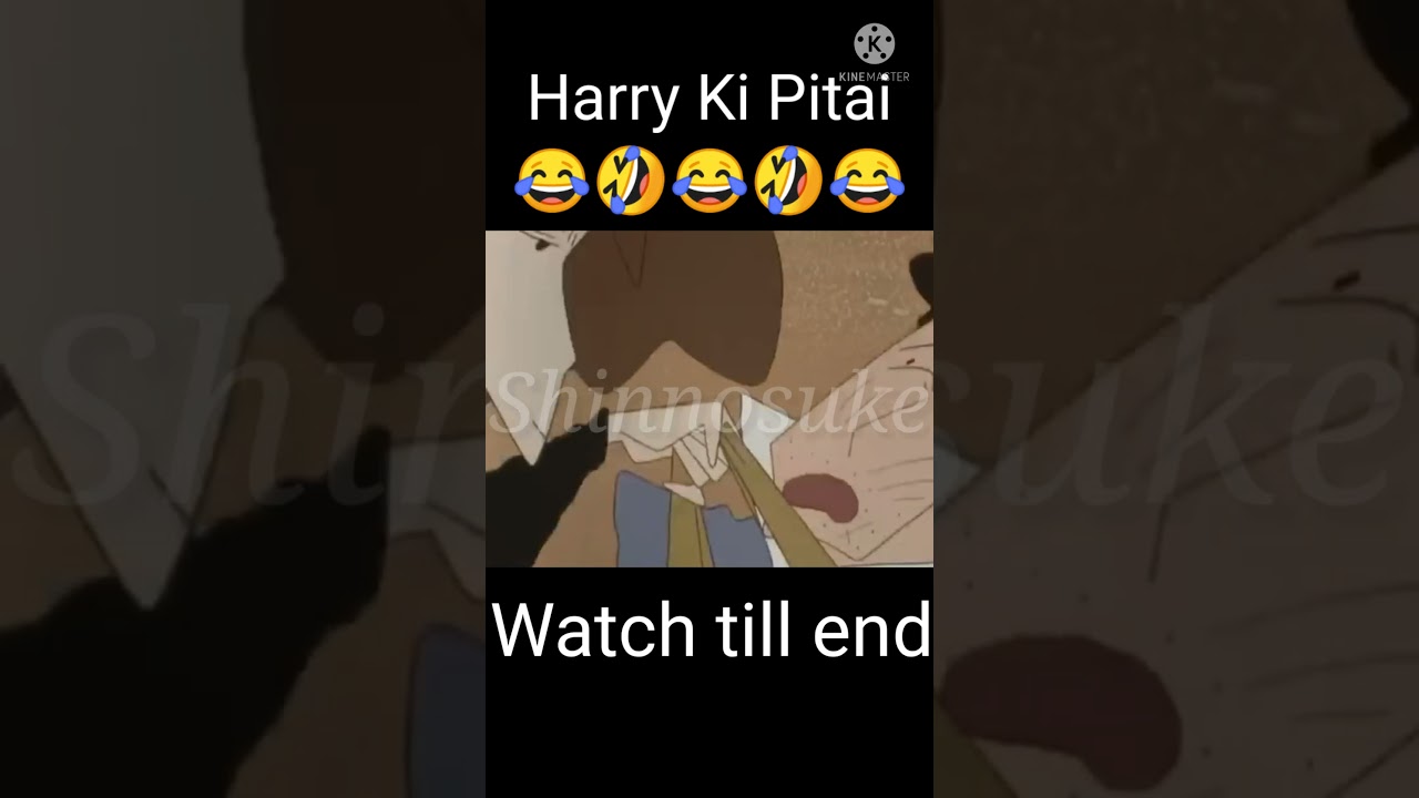 Harry Ki Pitai 😂🤣😂🤣😂 