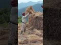 Dhan Tipna Sūrų Vayo Hai Sathi Haru 