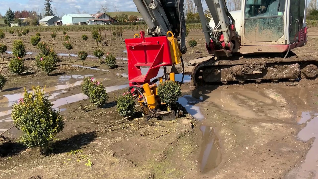 Bountiful Farm Happenings March 26, 2021 YouTube