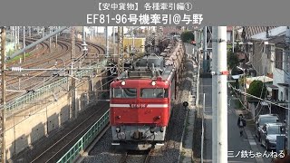【安中貨物】各種牽引編①　EF81-96号機牽引@与野