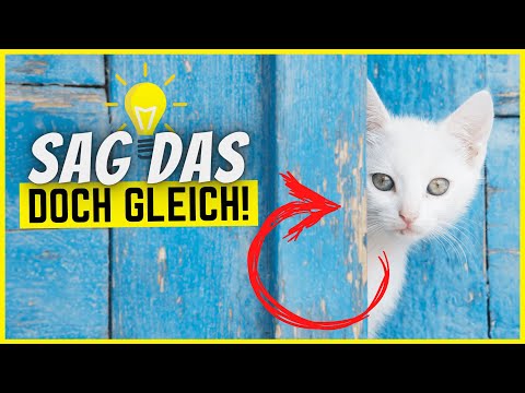 Video: Geheimnisvoll Leuchtende Bälle Im Keller Interessierten Die Katze - Alternative Ansicht
