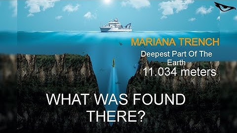 THE MOST TERRIFYING DEEPEST PLACES IN THE OCEAN 11,034 m BELOW SEA LEVEL