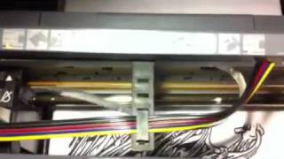 Jdtr Epsonb1100 Dtg