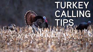 Turkey Calling Tips For Beginners | Basic Turkey Calls