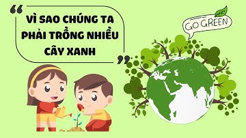 Lợi ích tuyệt vời khi dạy trẻ trồng cây xanh | Dạy Con Thành Tài