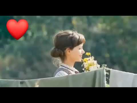 سيد الهوى قمري فيروز