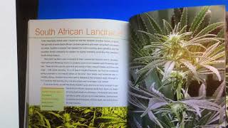 South African Landrace