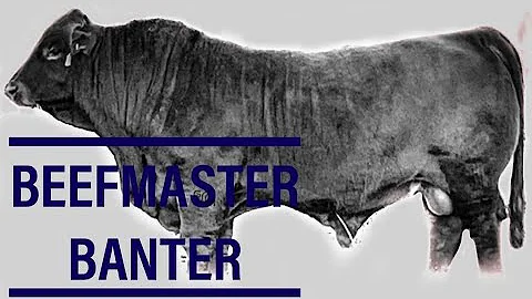 Neal Hiatt - Hiatt Diamond H Beefmasters