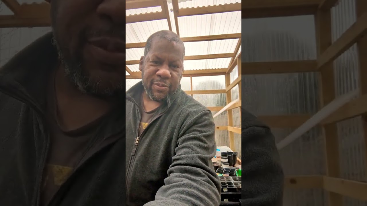 How to Grow Food From Table Scraps!