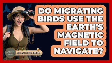 Do Migrating Birds Use The Earth