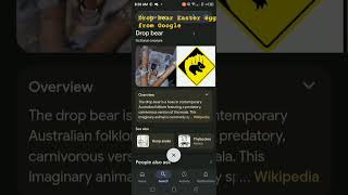 Drop Bear #dropbear #shorts #fpy #fyi #trending #eastereggs #googleeastereggs #google