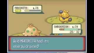 Pokémon Ruby Walkthrough Tutorial - Part 6
