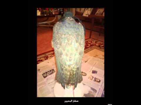 قصيدة المقناص برادي للشاعر شبيب بن عرار النعيمي