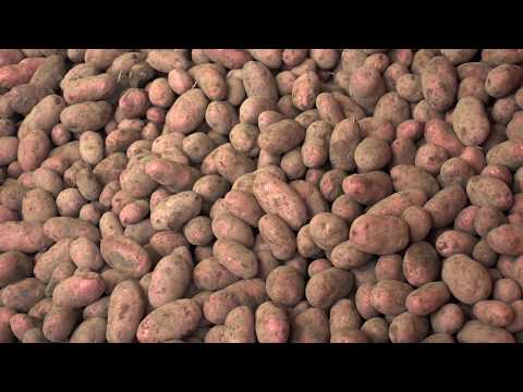 Video: Hur Blötlägg Potatis