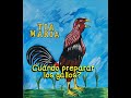 CUÁNDO PREPARAR LOS GALLOS