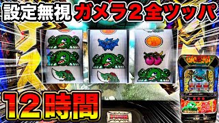 S ガメラ2 実機 2025年最新】ガメラ2 実機の人気アイテム - メルカリ