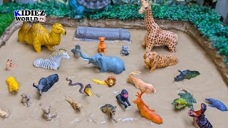 Plastic Toys Jungle & Forest Animals Stuck Up in Mud! Lioness, Giraffe, Tiger, Fox, Puma, Hippo