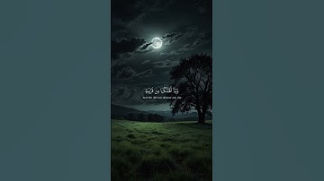 #القرآن_الكريم #تلاوة_خاشعة #راحة_نفسية