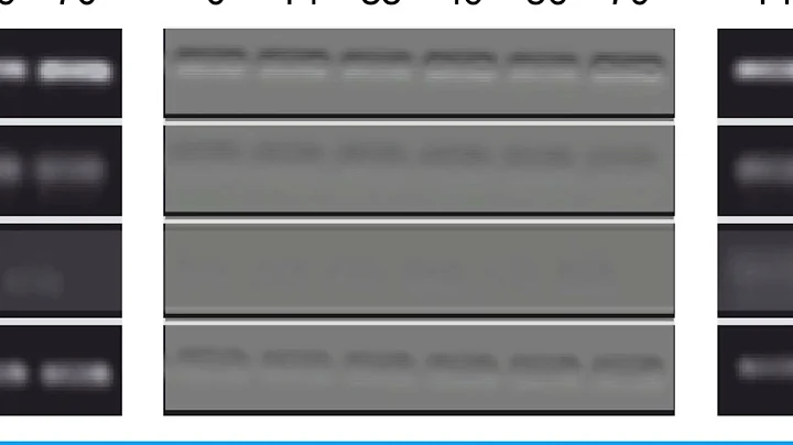 39780822C822692CC6BA7FCE7484C7#1