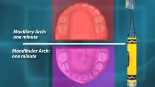 Crayola GUM Timer Light Toothbrush screenshot 1