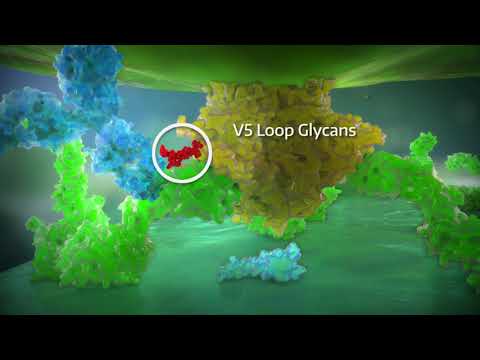 Ibalizumab video series 3: Ibalizumab mechanism of action