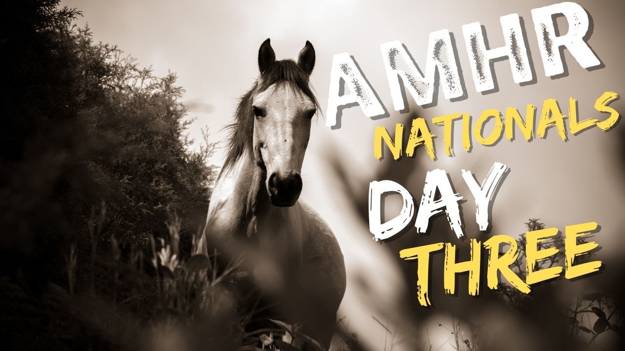 AMHR Nationals Mustang Arena September 9 YouTube AMHR Nationals Mustang Arena September 9 YouTube