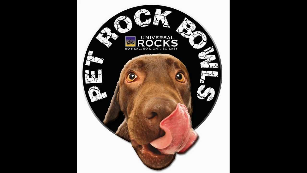 Custom Rock Pet Bowls for Dogs and Cats from Universal Rocks - YouTube