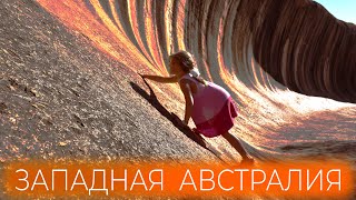 Австралия, которую вы не знаете. Каменная волна, крушение, кенгуру и коалы | Не яхтинг, кругосветка